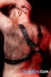 Bisexual Escort Ron 38yr - trios