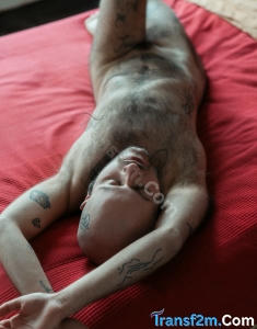 transgender (FTM) escort Bethnal Green Andi