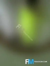 Gay Escort Faggot Kyle 29yr - sucking