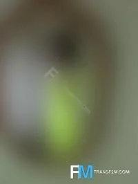 Gay Escort Faggot Kyle 29yr - role