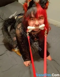transgender (FTM) Trans Man escorts Caernarfon Pup