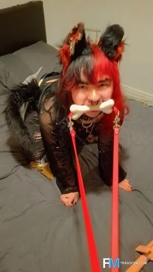 Gay Escort Pup 24yr - blowjob